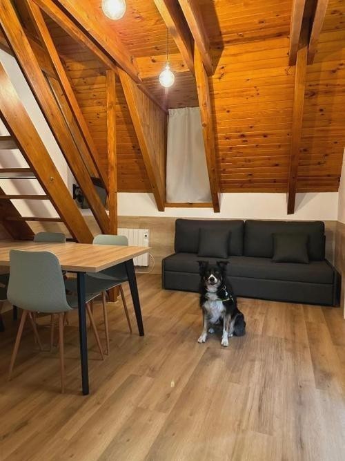 Apartamentos La Solana